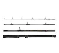 PENN Caña Regiment IV Boat Travel, caña para Pesca de Agua Salada Bacalao, Anguila de mar, lubina, abadejo, caballa, tiburón, Robusta, Ligera y versátil, Plata, 2,10 m caña rápida ambidiestra