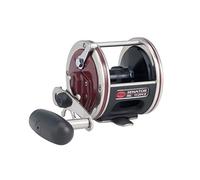 Penn Special Senator Star Drag Conventional Fishing Reel