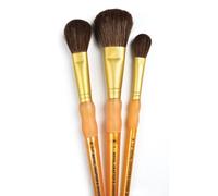 Pennello impostato cammello 3/Pkg-Mop
