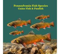 Pennsylvania Game Fish and Panfish Species Kids Book: Great Book About the Different Types of Fish in Pennsylvania