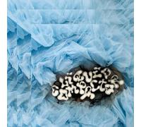 Penny & the Pits - Liquid Compactor [Vinilo]