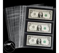 PENPRIS 210 Bolsillos para Billetes álbumes página de Recambio para - 35 Hojas 11 Agujeros para Billetes a Doble Cara en Material PP para álbum de Papel Moneda para coleccionar Euros PCP0135