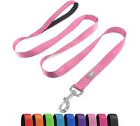 PenSeepet Basic - Correas de nailon para perros pequeños, 6 pies, con mango acolchado, color rosa