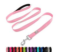 PenSeepet Correa reflectante de nailon con asa acolchada de 6 pies para perros medianos, color rosa