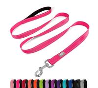 PenSeepet Correa reflectante de nailon con asa acolchada de 6 pies para perros pequeños, color rosa intenso