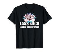 Pensión Lass Mich Ich Bin Im Ruhestand Rente Camiseta