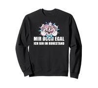 Pensión Mir Doch Egal Ich Bin Im Ruhestand Rente Sudadera
