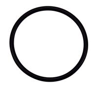 Pentair 35505-1428 O-Ring Replacement Sta-Rite System 3 SM-Series Modu