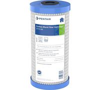 PENTAIR - Cartucho de carbón activo - Big Blue EPM-10BB - filtro agua potable - Reducción cloro - 9-3/4" x 4-5/8", 10 micras