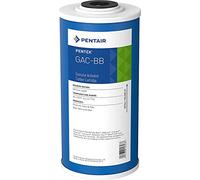 PENTAIR - Filtro agua potable - GAC-10BB Big Blue - Reduce olor y sabor de cloro - Menos sedimentos - 9-3/4" x 4-1/2"