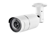 Pentatech Cámara Falsa 24224 con LED Parpadeante.