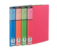 Pentel Recycology - Portafundas para documentos (4 unidades, 20 fundas transparentes), varios colores