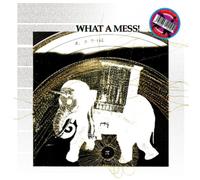 Bradock Pepe - What a Mess! [Vinilo]