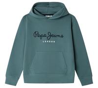 Pepe Jeans Art Hoodie Sudadera, Verde (Hydro Green), 8 años para Niños