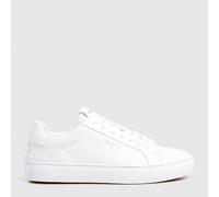 Pepe Jeans Zapatillas Camden Rump Blancas PLS00031-800 38