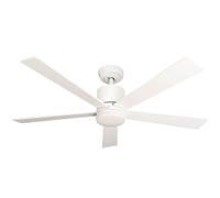Pepeo Tibu Ventilador De Techo Con Luz LED, Regulador, 132 Cm, Blanco, Mando
