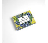 The Pepin Press – Set para escribir cartas Vincent Van Gogh