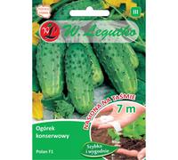 Pepino de tierra para conserva Polan F1 - variedad temprana