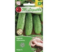 Pepino de tierra para conserva Polan - mediano. Temprano.