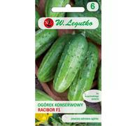 Pepino de tierra para conserva Racibor F1 - variedad temprana