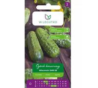 Pepino de tierra para conservas y encurtidos Wisconsin SMR 58