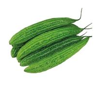 Pepino escarlata fresco 1 kg Ivy Gourd (Tindora) - Calabaza hiedra vegetal india | Ideal para sartén, curry y cocina tradicional con pegatinas Kajal (1 kg, pepino amargo chino)