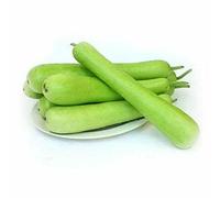 Pepino escarlata fresco 1 kg Ivy Gourd (Tindora) - Calabaza hiedra vegetal india | Ideal para sartén, curry y cocina tradicional con adhesivo Kajal (2 kg, calabaza botella)