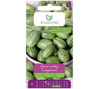 Pepino ornamental mexicano