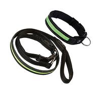 PEPLAYTAL Cuerda De Tracción Luminosa LED para Perros Correa para Perros Y Mascotas con Luces Intermitentes Correa para Perros Cuerda De Tracción para Perros Suministros para Mascotas