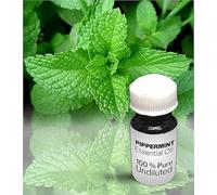 Peppermint Essential Oil / 100% Pure Peppermint Undiluted Essential Oil Premium Quality (25O ML, NATURAL)