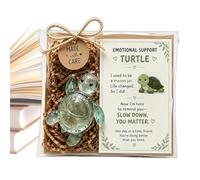 Pequeña Estatua De Tortuga Colección Linda Y Reconfortante De Resina