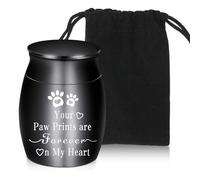 Pequeña urna de acero inoxidable - Impermeable mini monumento para entierro y cremación - Contenedor de recuerdo para humanos y perros