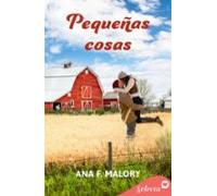 Pequeñas Cosas (ebook)