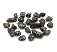 Pequeñas piedras africanas - gallina de Guinea