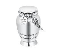 Pequeñas urnas para cenizas humanas Urna de cremación para cenizas humanas con alas Encanto Mini urna personal Funeraria para mascota (alas grandes plateadas)