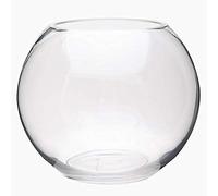 (PEQUEÑO 15 CM) Jarrón Pecera, 15cm, Florero/Terrario de Vidrio. Pecera decoración del hogar