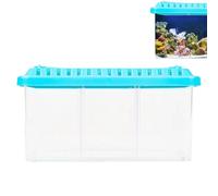 Pequeño Acuario | 1 * Uds Mini Acuario Betta Transparente con divisores extraíbles | Pecera de Mesa Ornamental de 18x8,5x8,5 cm | Kit de Inicio Ideal para el hogar, la Oficina o el Departamento
