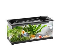 Pequeño Acuario, pequeña pecera con Filtro, acuarioacrílico Transparente de Escritorio con Filtro, Tortuga Hábitat Fish Bowl con de Ciclo para el hogar, Estudio, Mesa
