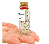 Pequeño mensaje mágico en una botella idea de regalo - Regalos inspiradores elegantes para él y ella - Regalos únicos para mujeres y hombres (diente de león blanco, pide un deseo, botella de mensaje)