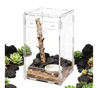 Pequeño Recinto De Arañas - Jaula de Acrílico para Reptiles - Jaula Hábitat Geckos | Apto para Tarántula Rana Escorpión Araña Mantis Gecko Hogar Viaje Sala De Estar Oficina