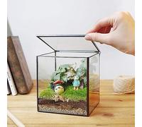 Pequeño terrario cuadrado de vidrio con tapa, caja transparente geométrica para plantas de interior, maceta negra pequeña hecha a mano para suculentas, musgo y helecho, decoración del jardín del hogar