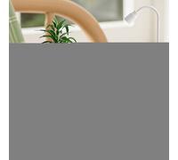 Pequeñoero de Pescado - Pequeñoero de Pescado - Aquario de Pesado, exhibición de Nano ecosistema de Agua Dulce | Kit de Inicio del hábitat de Mantenimiento fácil para la Oficina en el hogar Decor de