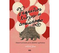 Pequeños trozos de ansiedad: Observaciones para mentes agitadas (SIN COLECCION)