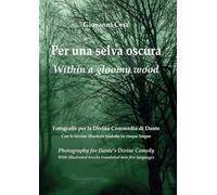 Per una selva oscura. Fotografie per la «Divina Commedia» di Dante-Within a gloomy wood. Photography for Dantes' «Divine Comedy»