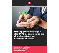 Percepção e avaliação das MPE sobre o impacto dos desastres na sustentabilidade