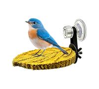 Perch For Birds - 13.5x9.5cm Suction Cup Bird Resting Tray | Conure Perch Stand | For Parrot Parakeet Cockatiel Cockatoo Lovebird Canary Finch