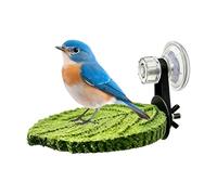 Perch for Birds - Bird Cage Standing Rod for Parrot | Natural Wood Texture with Anti Slip Grip, Easy Install Cage Accessory, Resting and Exercise Stand for Indoor Bird Habitat Use
