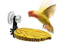 Perch for Birds - Bird Cage Standing Rod for Parrot | Natural Wood Texture with Anti Slip Grip, Easy Install Cage Accessory, Resting and Exercise Stand for Indoor Bird Habitat Use