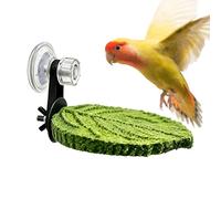 Perch For Birds - Suction Cup Bird Resting Tray, Conure Perch Stand Grip Station Wall Mount Level Observation Deck | Sunbathing Spot For Macaw African Grey Caique Conure Mirror Tile Wind