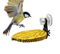 Perch for Birds - Suction Cup Bird Resting Tray, Conure Perch Stand Window Ledge Suction Foothold Avian | Aerial Seat for Parrot Parakeet Cockatiel Cockatoo Lovebird Canary Finch Glass Shower